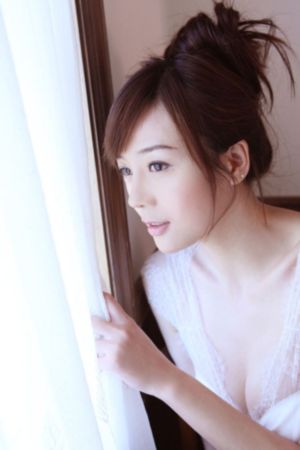 美丽小蜜蜂